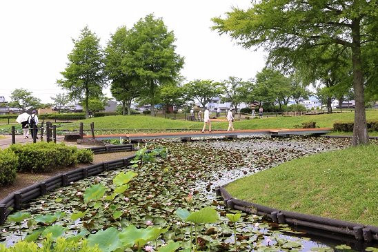 Hiraike Park-加东市必去景点