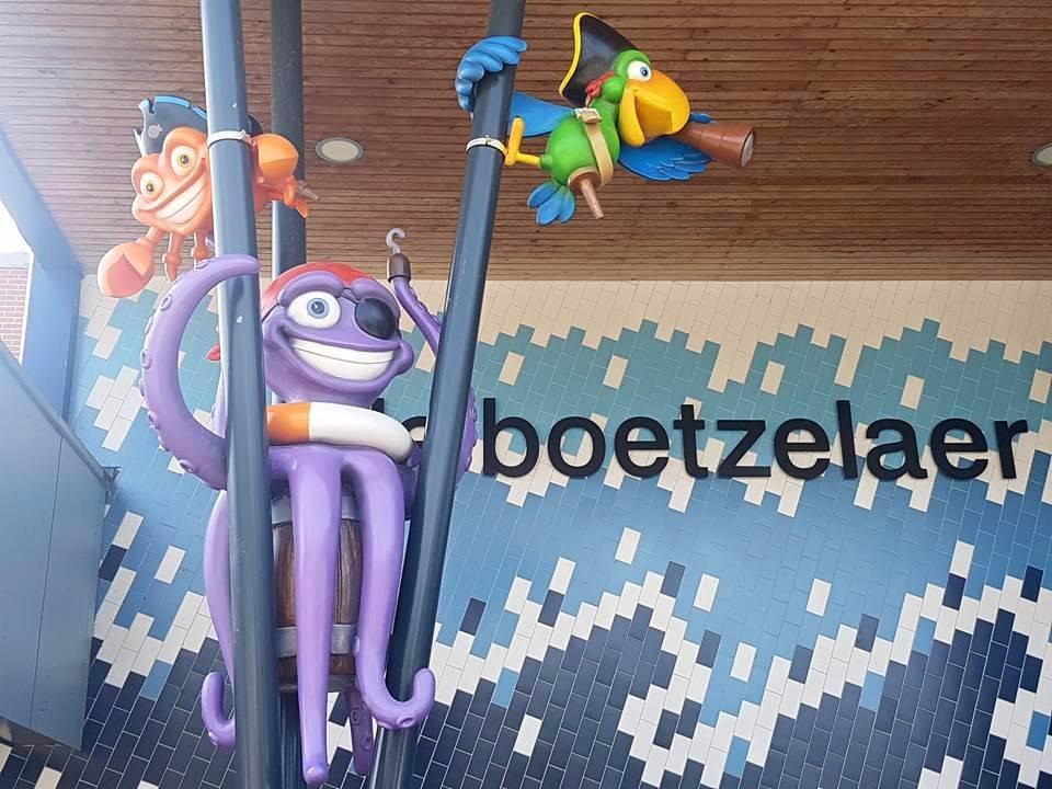 Zwembad De Boetzelaer景点图片