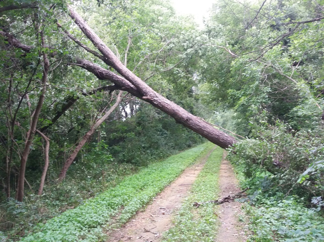 Sugar River State Trail景点图片