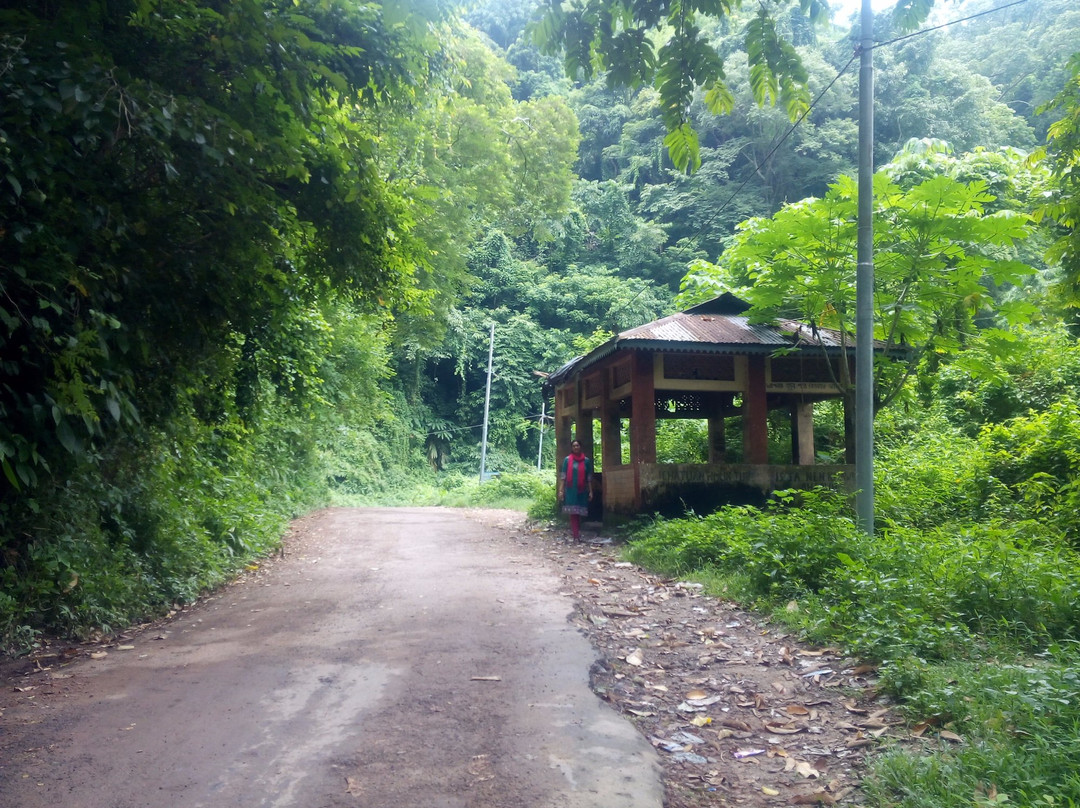Jampui Hill景点图片