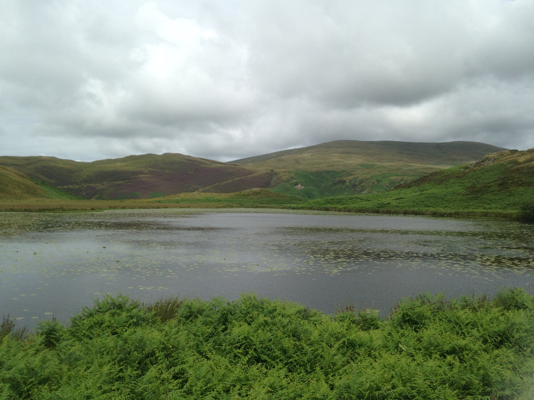 Llyn Barfog景点图片