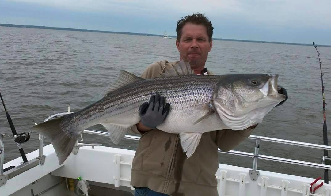 Hook Mash Charter Fishing景点图片