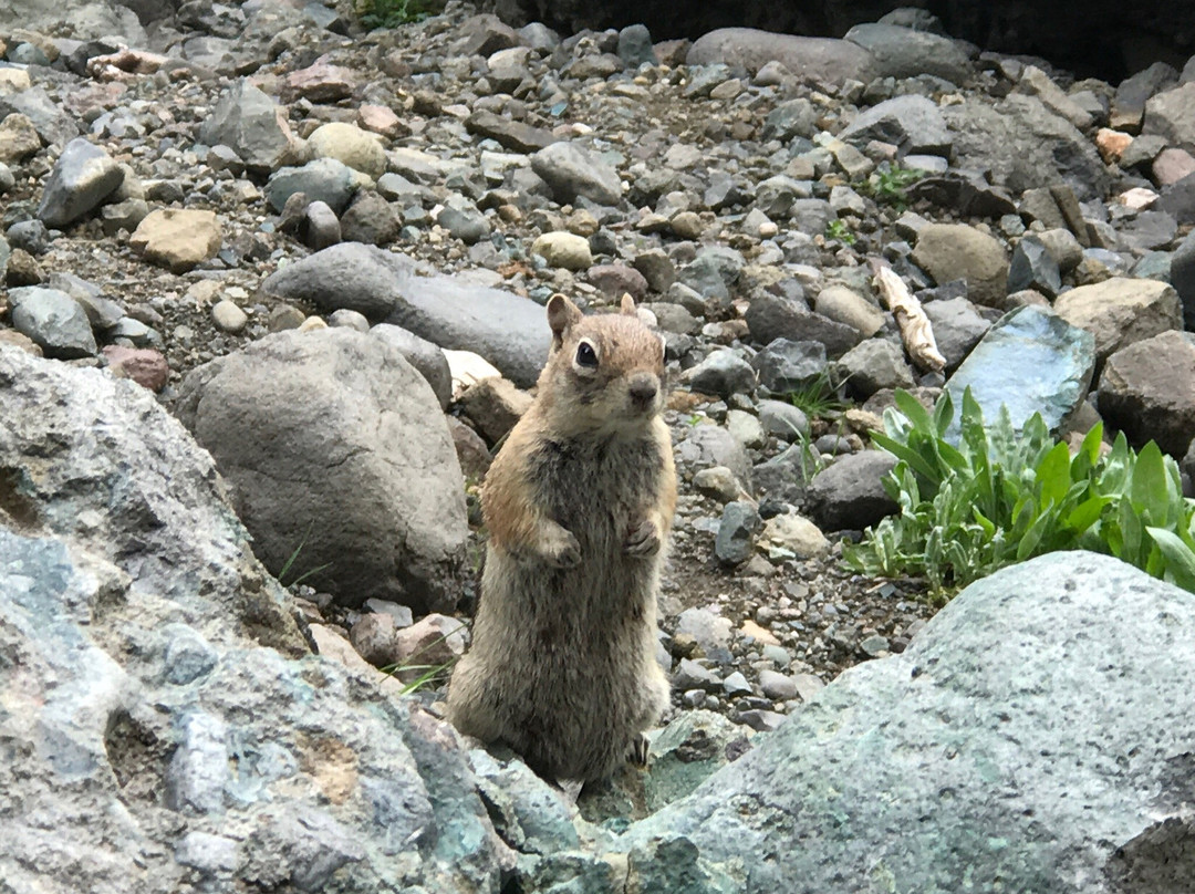 Fourmile Falls Trail-帕戈萨斯普林斯必去景点