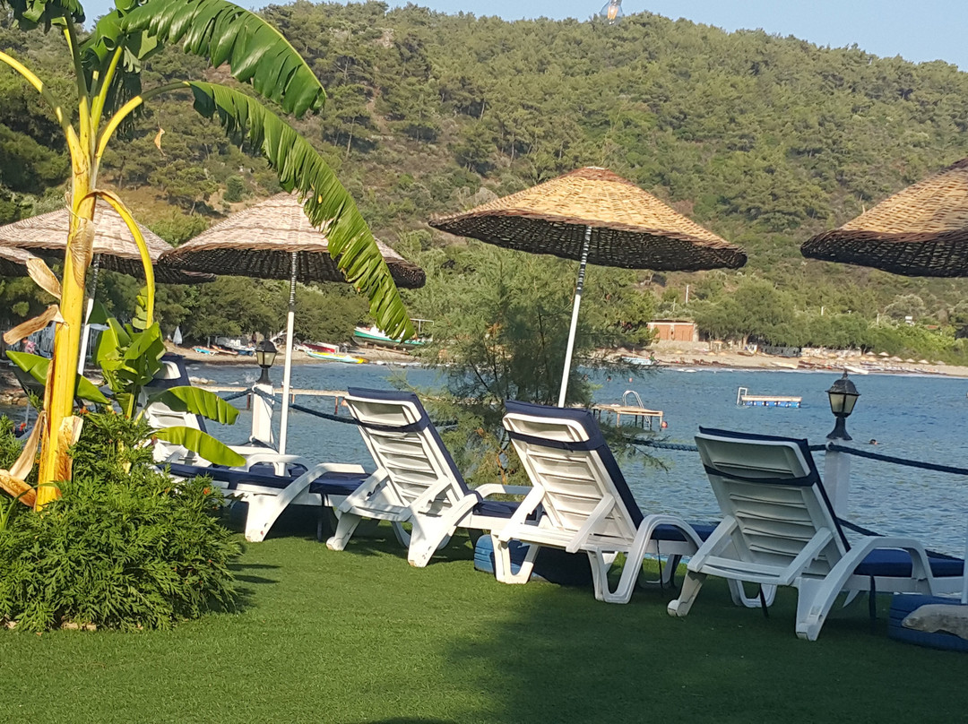 Rota Pansiyon