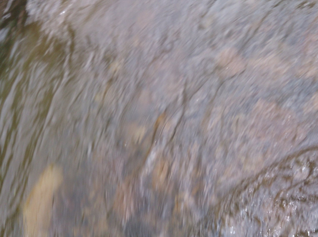 Ayyanar Falls-Rajapalayam必去景点