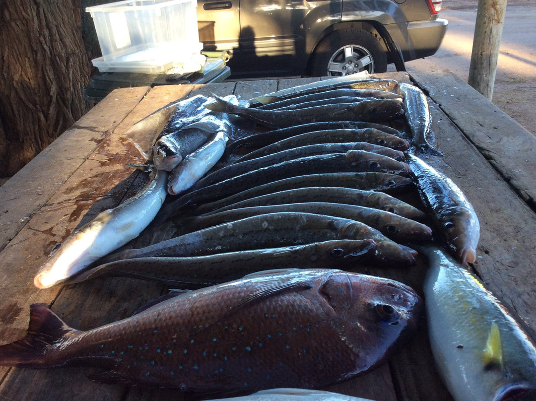 Cowell Fishing Adventures景点图片