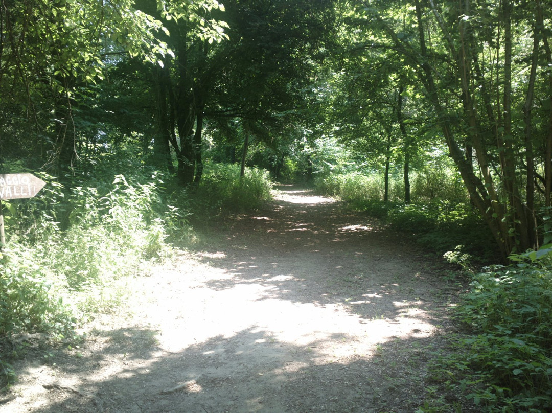 Parco delle Vincellate景点图片