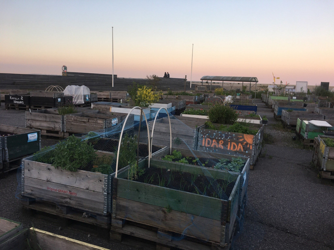 Ø-Haven-欧胡斯必去景点