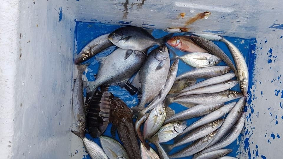 Cooinda Fishing Charters-Penneshaw必去景点