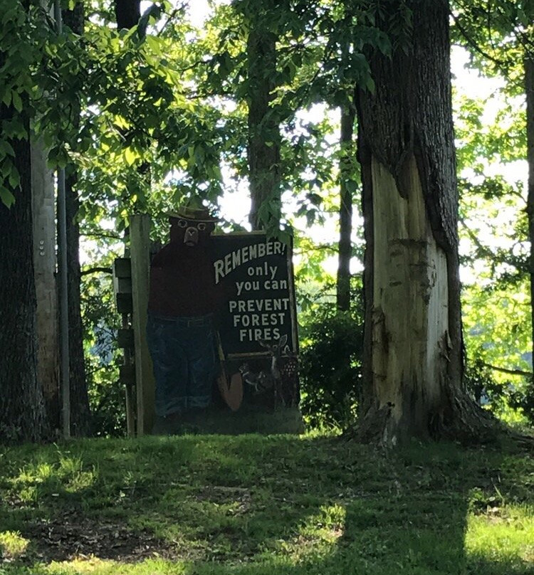 Lake Murphysboro State Park景点图片