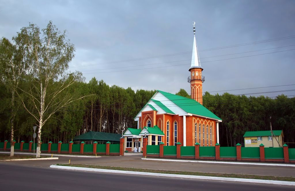 Uskudar Mosque-Saransk必去景点