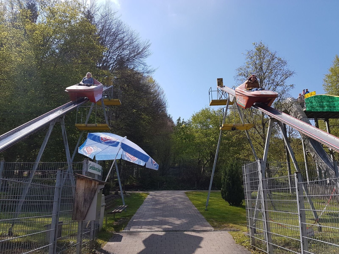 Wild - und Freizeitparkpark Allensbach Bodensee景点图片