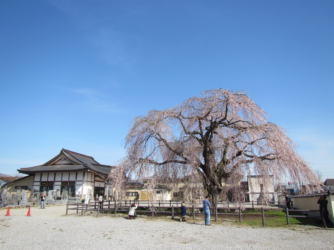 Houkiji Temple-北斗市必去景点