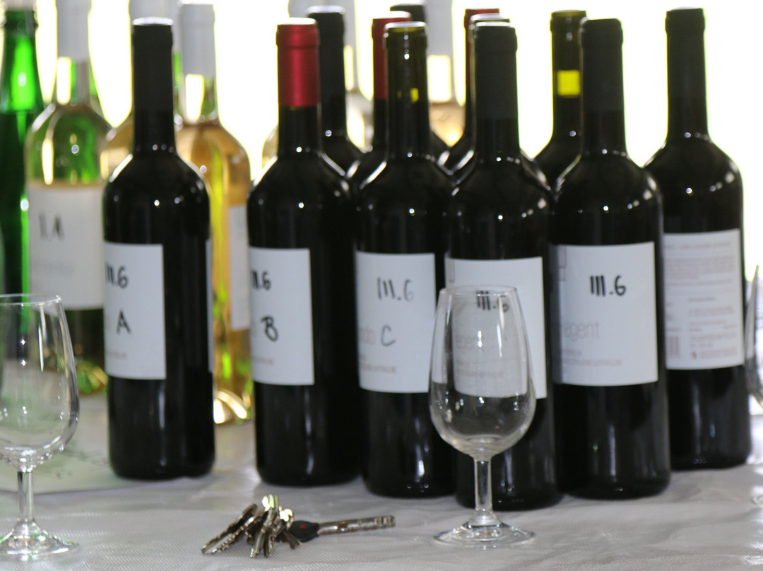 Chodorowa Winery景点图片