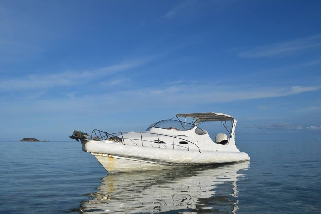 Dolphin Karimunjawa-卡里蒙加瓦必去景点