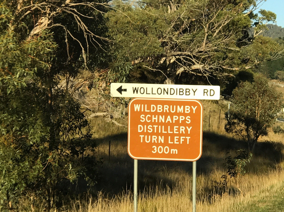 Snowview Units主图