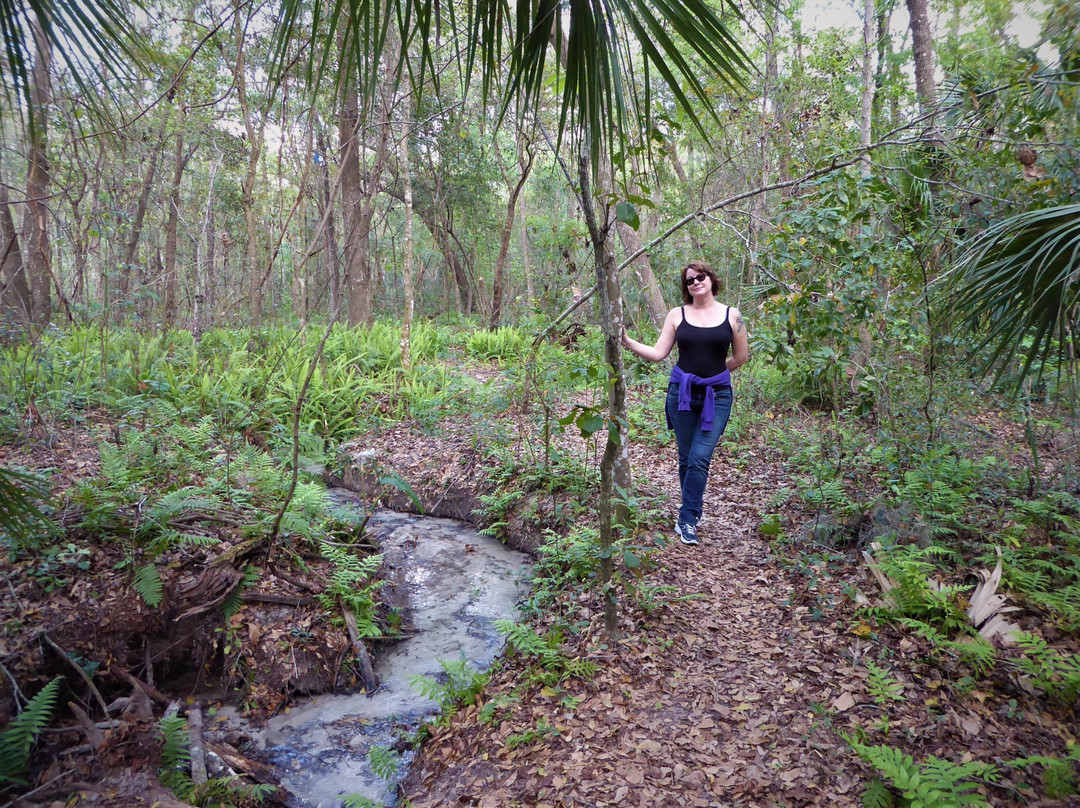 Hidden Waters Preserve-Eustis必去景点