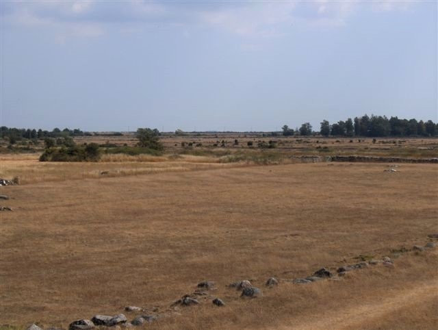 Ismantorps Borg景点图片