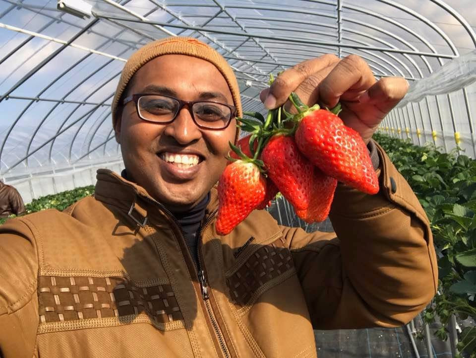 Kafuka Strawberry Farm-甲贺市必去景点