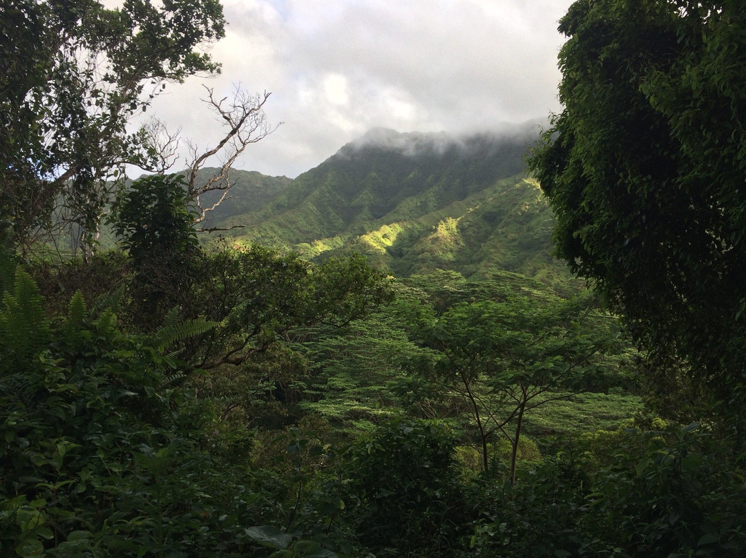Moalepe Trail-卡帕阿必去景点