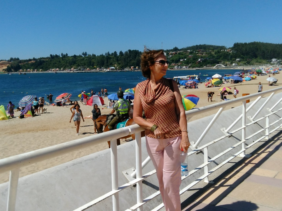 Playa de Dichato-Dichato必去景点