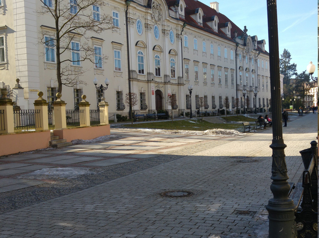 Schaffgotsch Palace in Cieplice景点图片