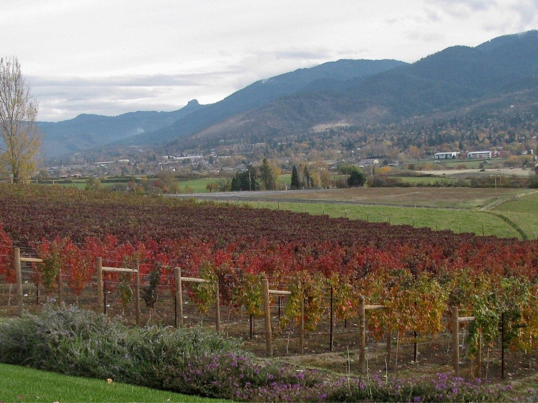 Dana Campbell Vineyards-阿什兰必去景点