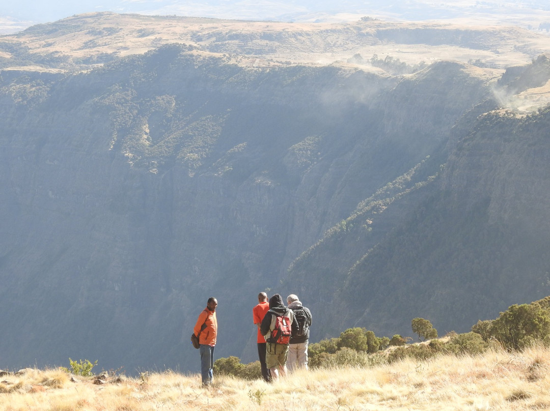 Simien Mountain Guides景点图片