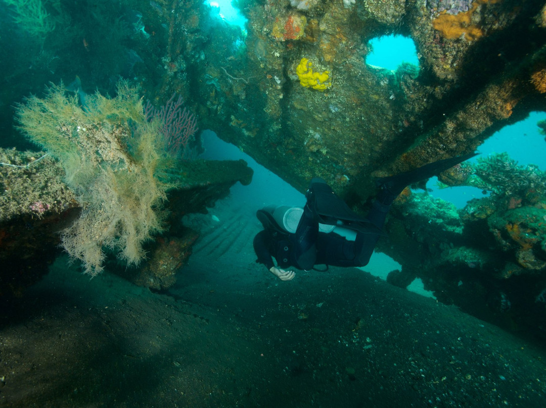 Livingseas Bali-登巴萨必去景点