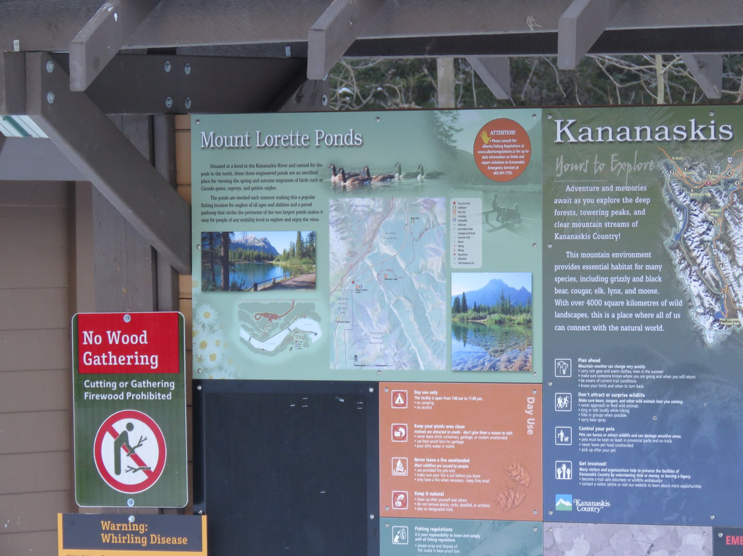 Mt. Lorette Ponds-Peter Lougheed Provincial Park必去景点