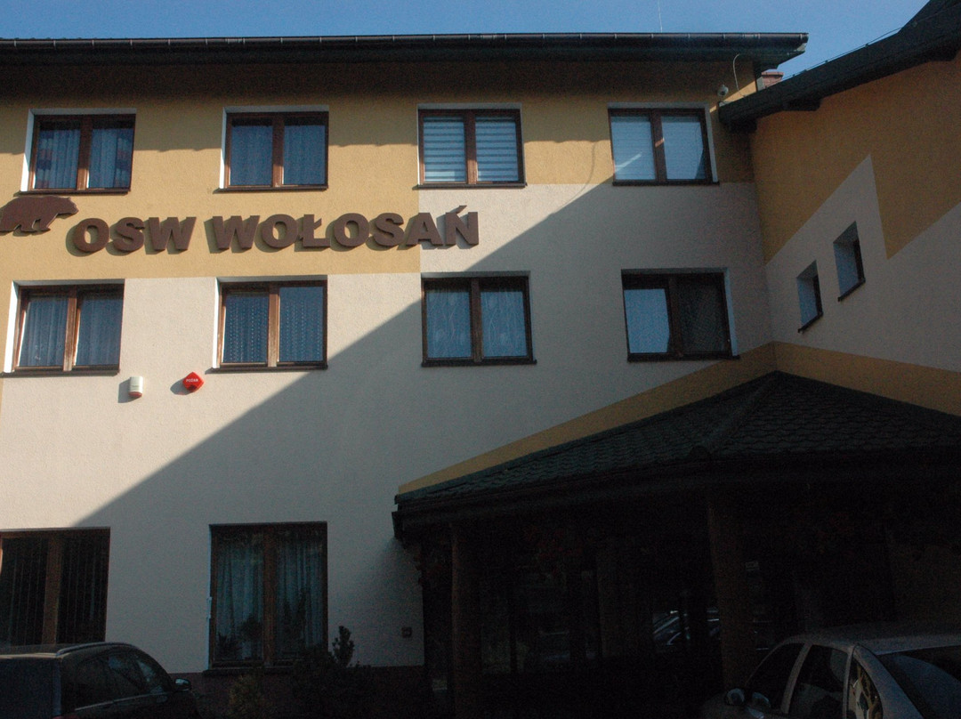 Wolosan