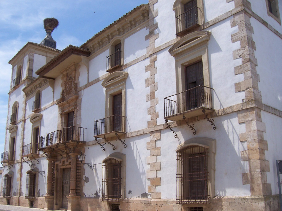Palacio de Las Torres景点图片