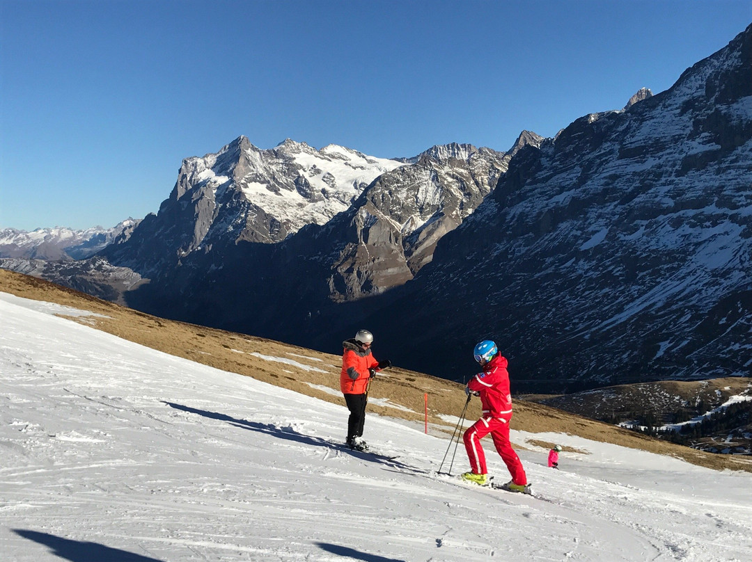 Swiss Ski and Snowboard School Kleine Schiedegg景点图片