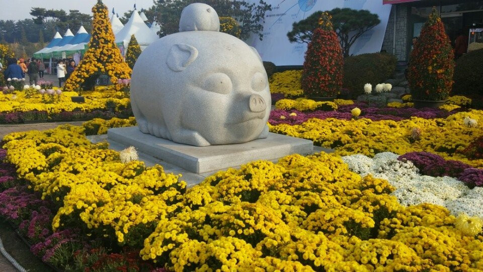 Iksan Jungang Cheyuk Park-益山市必去景点