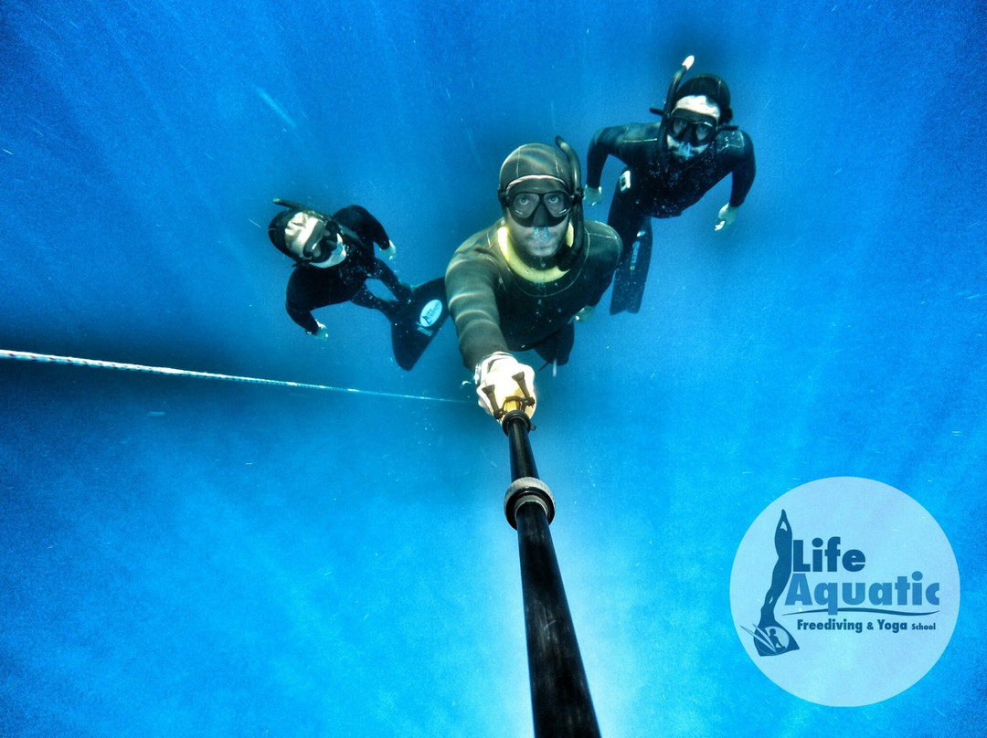 Life Aquatic Freediving and Yoga School-卡斯必去景点