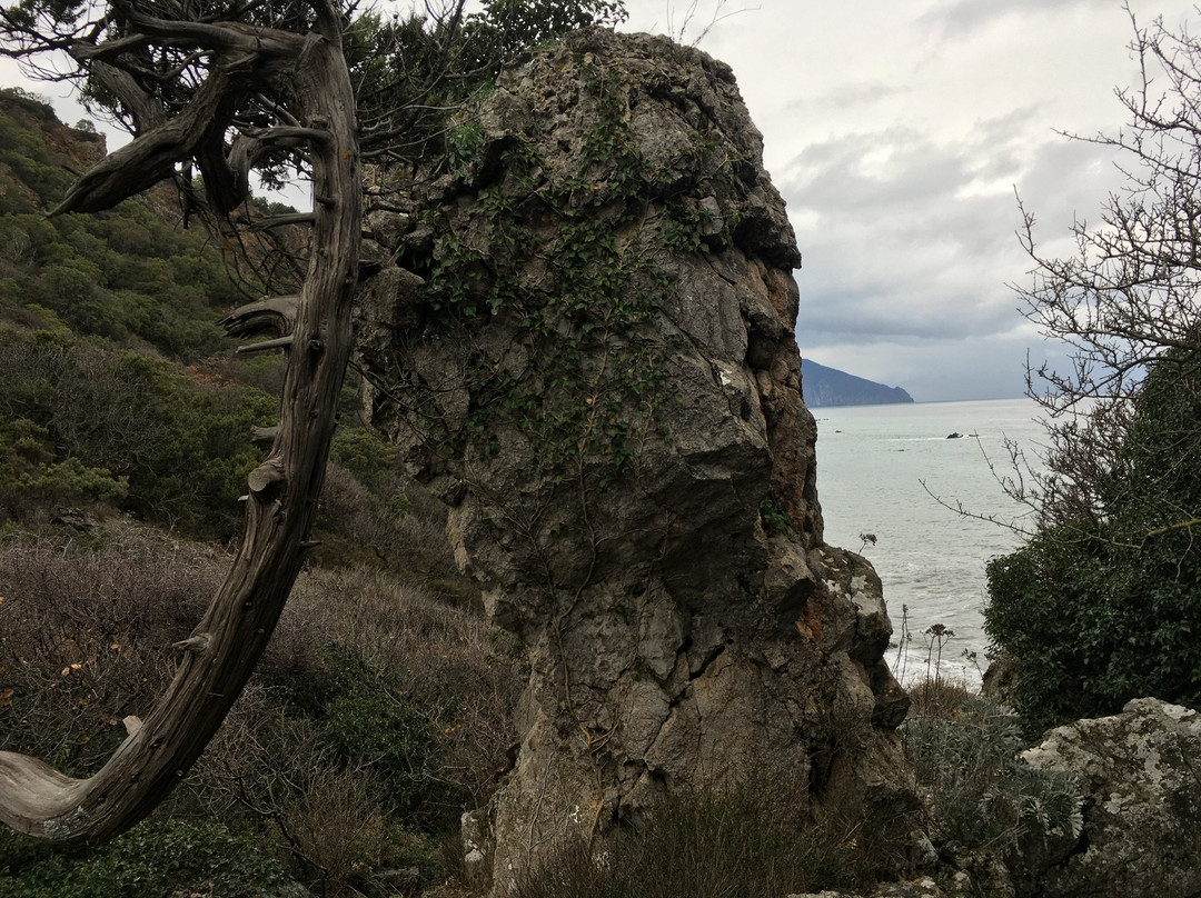Cape Martyan-Nikita必去景点