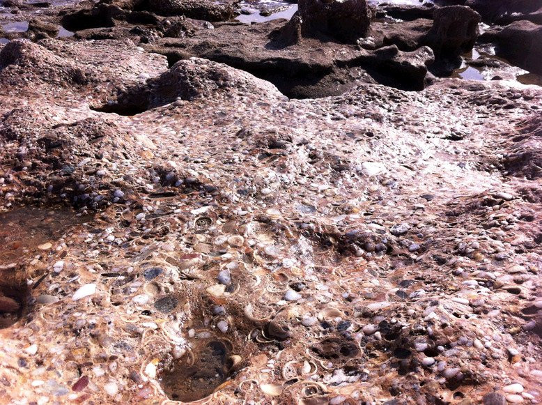 Playa del Lance景点图片