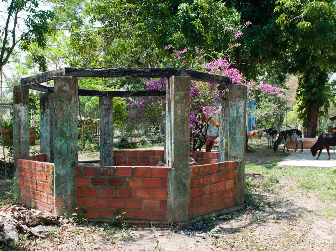 Bolivian Parrots Conservation-Trinidad必去景点