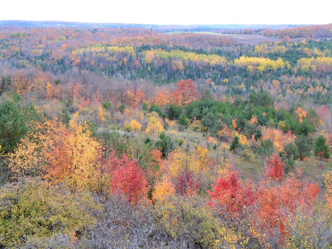 Boyne Valley Provincial Park景点图片