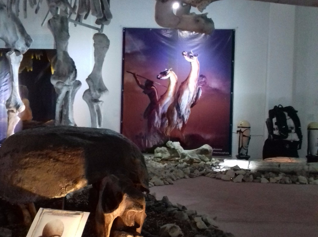 Museo de la Prehistoria Parque Dos Ojos-图伦必去景点