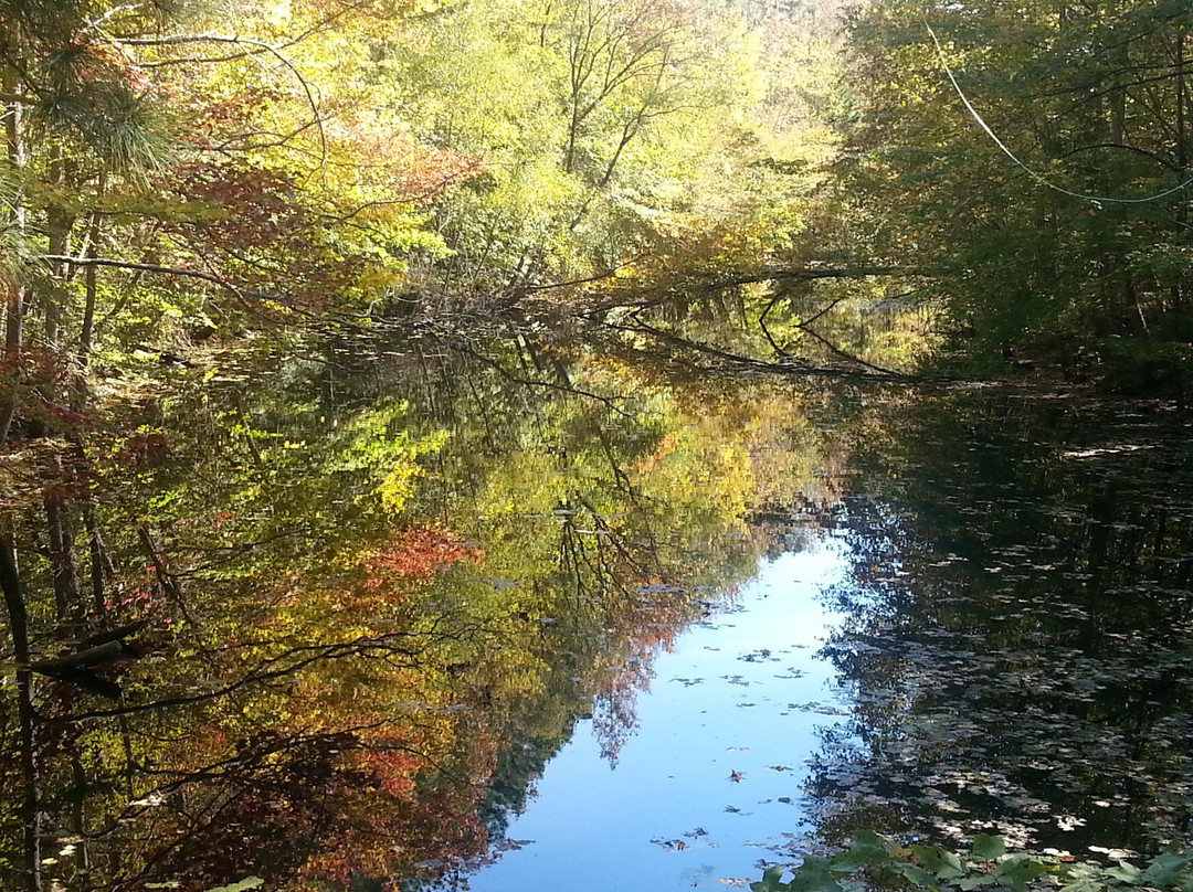Northwest River Park景点图片