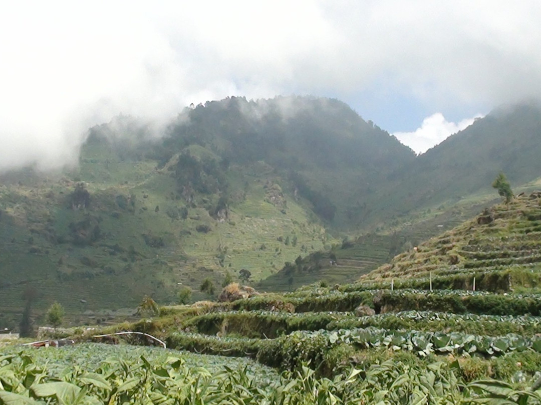 Dieng Volcano景点图片