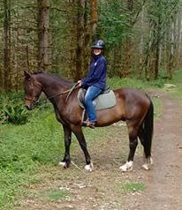 Misty Acres-Ravensdale必去景点