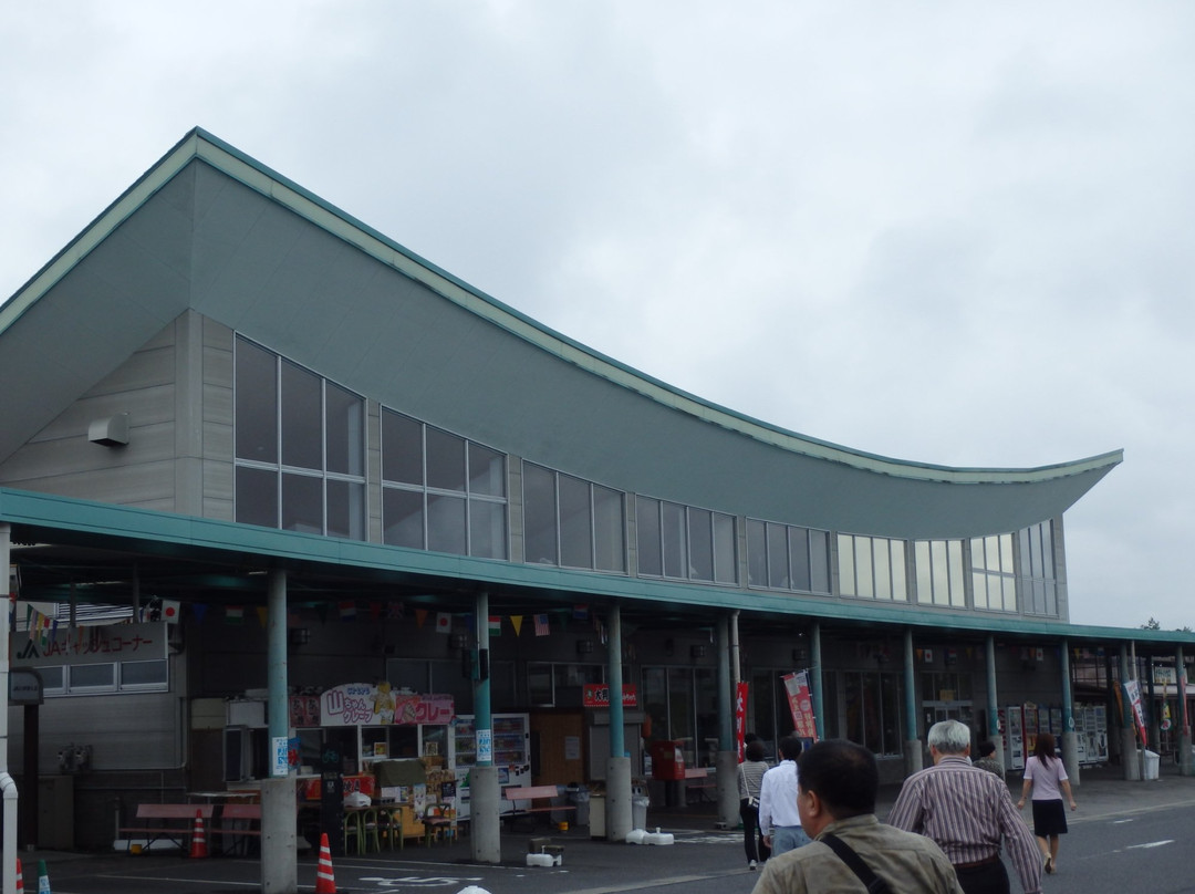 Roadside Station Ayama景点图片