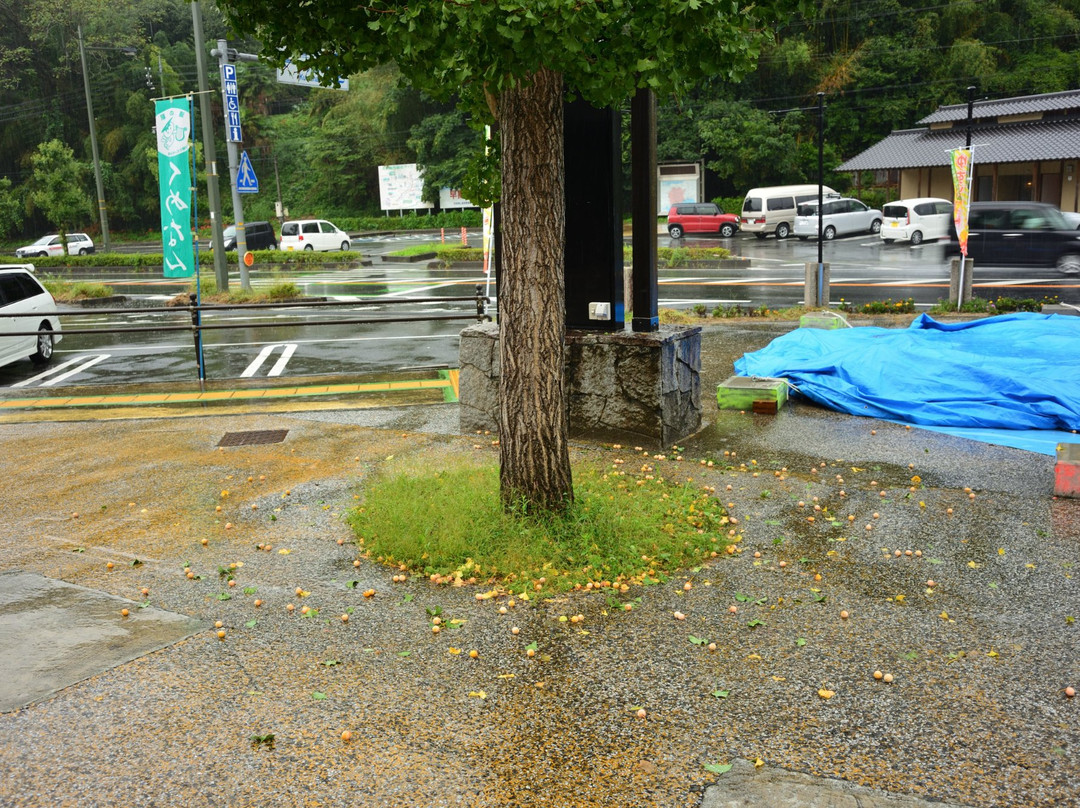 Kumenan Michi-no-Eki-久米南町必去景点