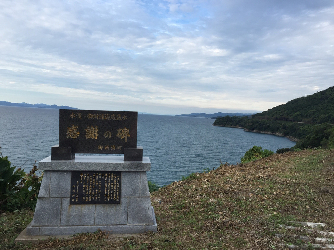 Cherry Blossom Trees along Yunoko Beach Road-水俣市必去景点