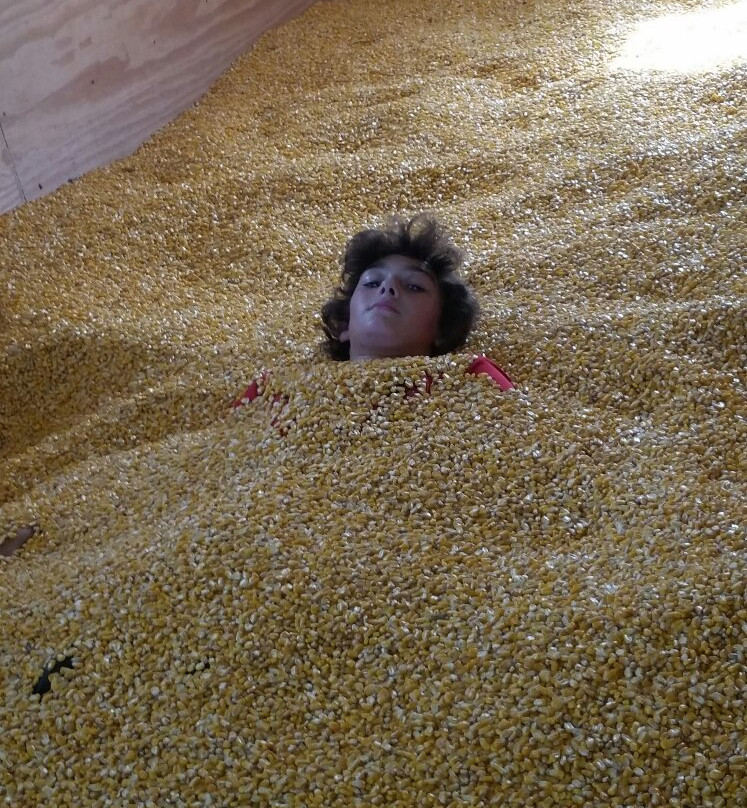 Old McDonald's Farm-Sale Creek必去景点