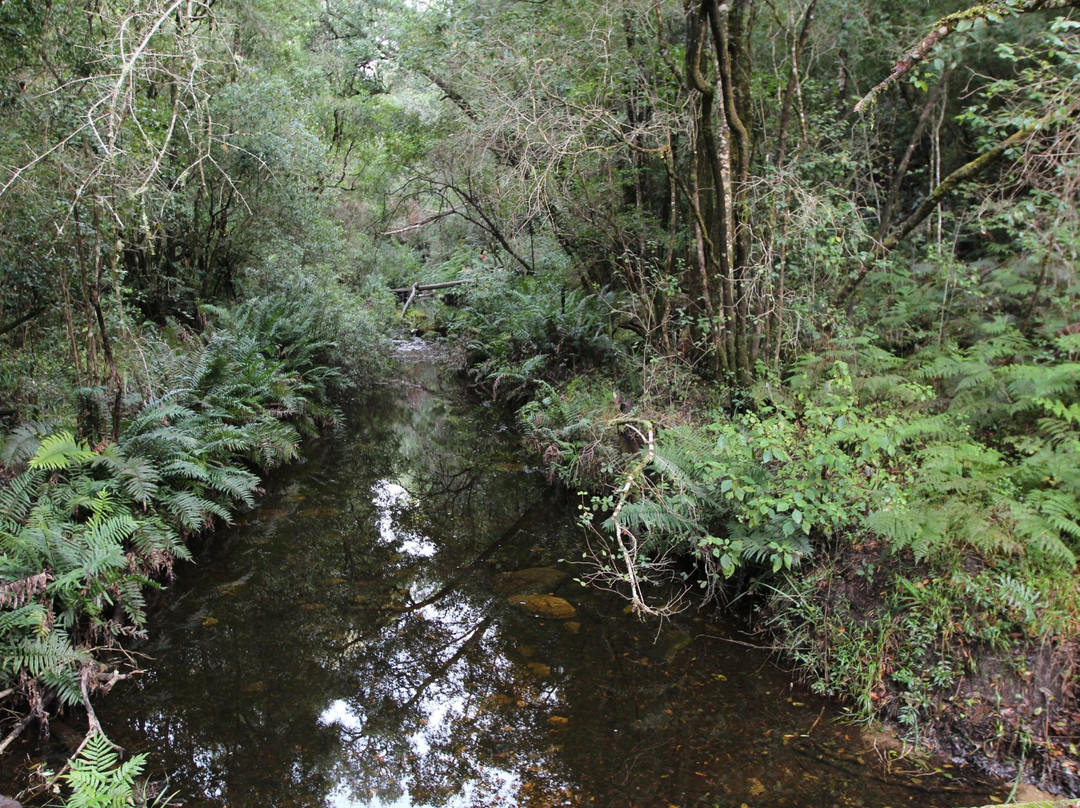 Secrets of Knysna Forest-哈克城必去景点
