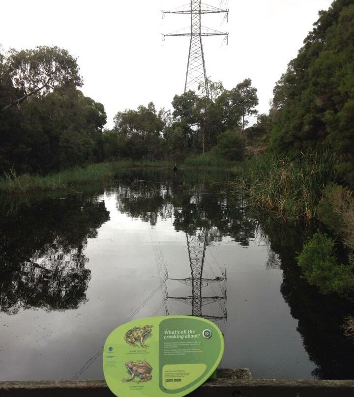 Glen Iris Park Wetlands景点图片