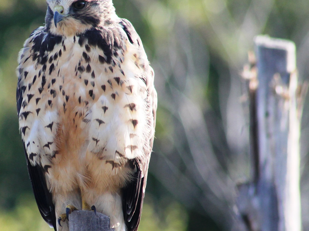 Vega State Park-Collbran必去景点